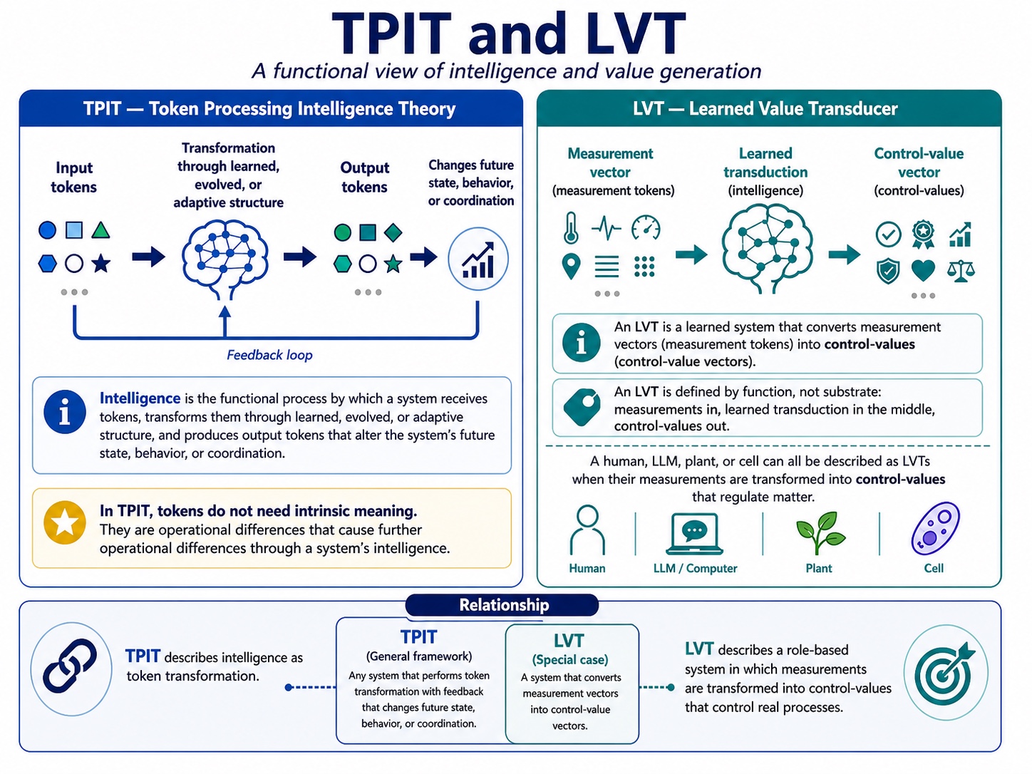 Method slide showing token input, transformation and output as a functional account of intelligence.